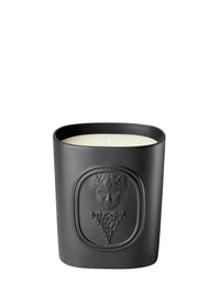 Testeur Bougie L'Elide 220G