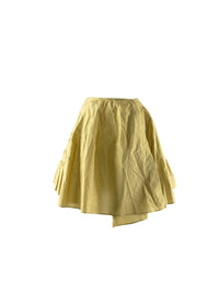 Asymmetrical pleated skater skirt - Iron & Gold