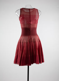 Fitted dress and flared tulle skirt - Bordeaux