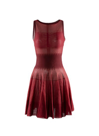 Fitted dress and flared tulle skirt - Bordeaux