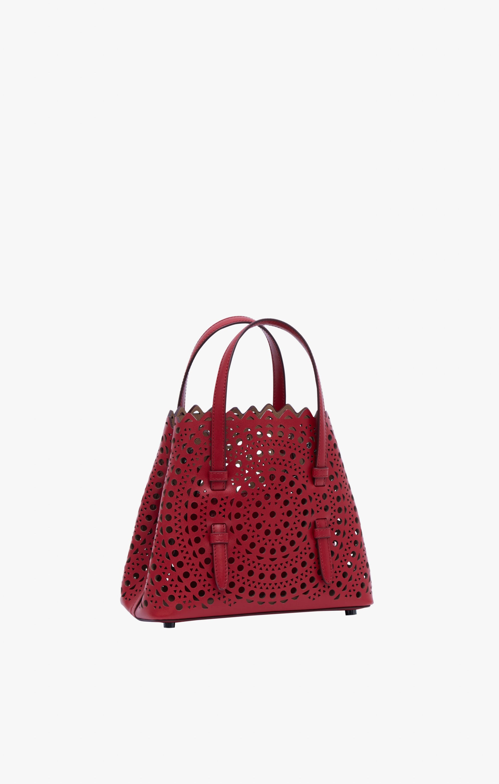 Mina 20 Leather Tote Bag - Lacquer