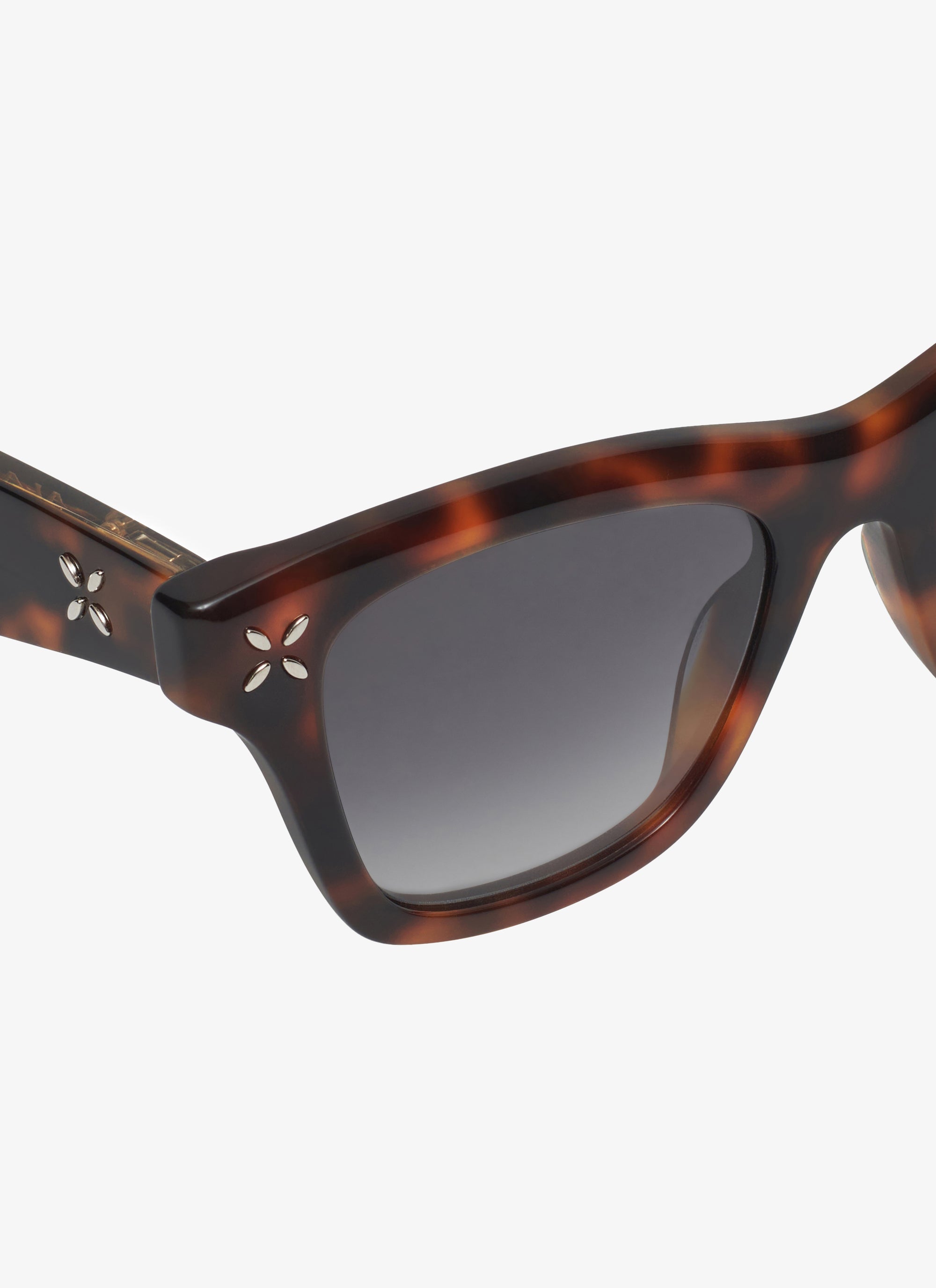 Rectangular Sunglasses - Havana & Brown