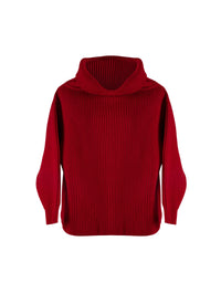Pull décontracté à manches longues en laine - Ecarlate