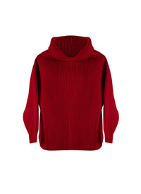 Pull décontracté à manches longues en laine - Ecarlate