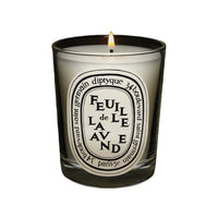 Testeur Bougie Feuille de Lavande 190G