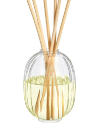 Recharge de diffuseur Figuier 200Ml - Figuier