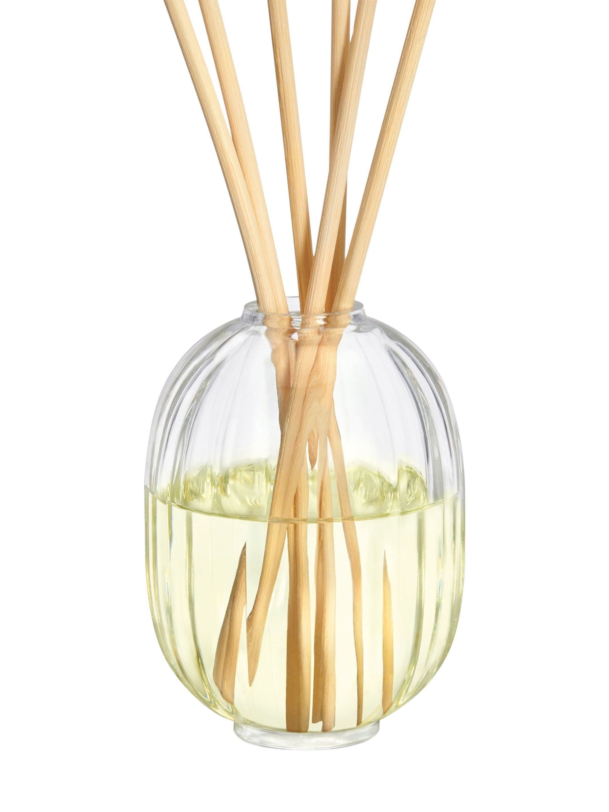 Recharge de diffuseur Figuier 200Ml - Figuier