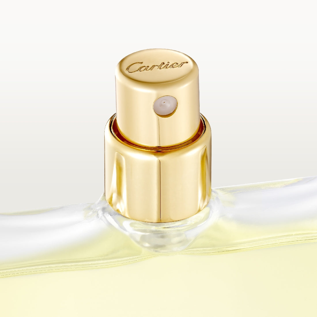 Déclaration Eau de Toilette Refills for Men 2x30 ml