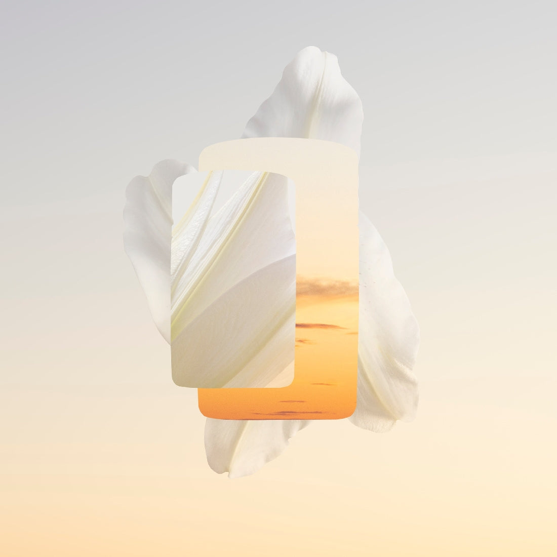 Coffret de Parfums Les Nécessaires de Cartier Parfum Baiser Volé 2x30ml