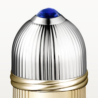 Pasha de Cartier Eau de Parfum Limited Edition for Men 100 ml