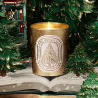 Testeur Bougie Sapin Edition Limitée 70G