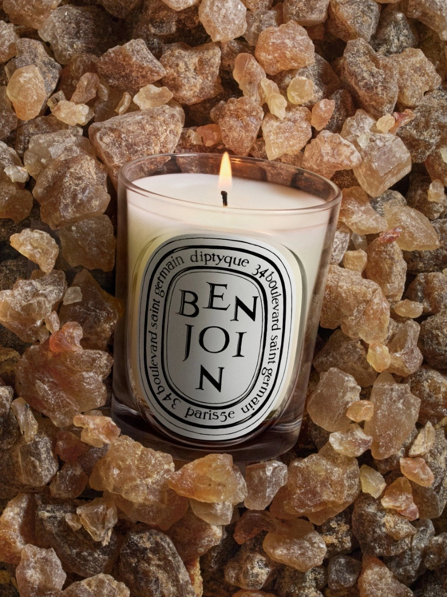 Bougie Benjoin 190G - Benjoin