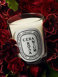 Candle tester Geranium Rosa 190G