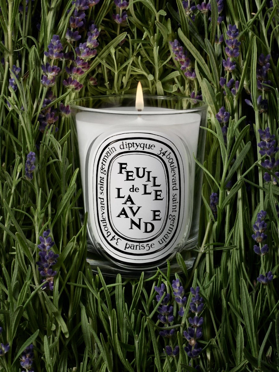 Testeur Bougie Feuille de Lavande 190G