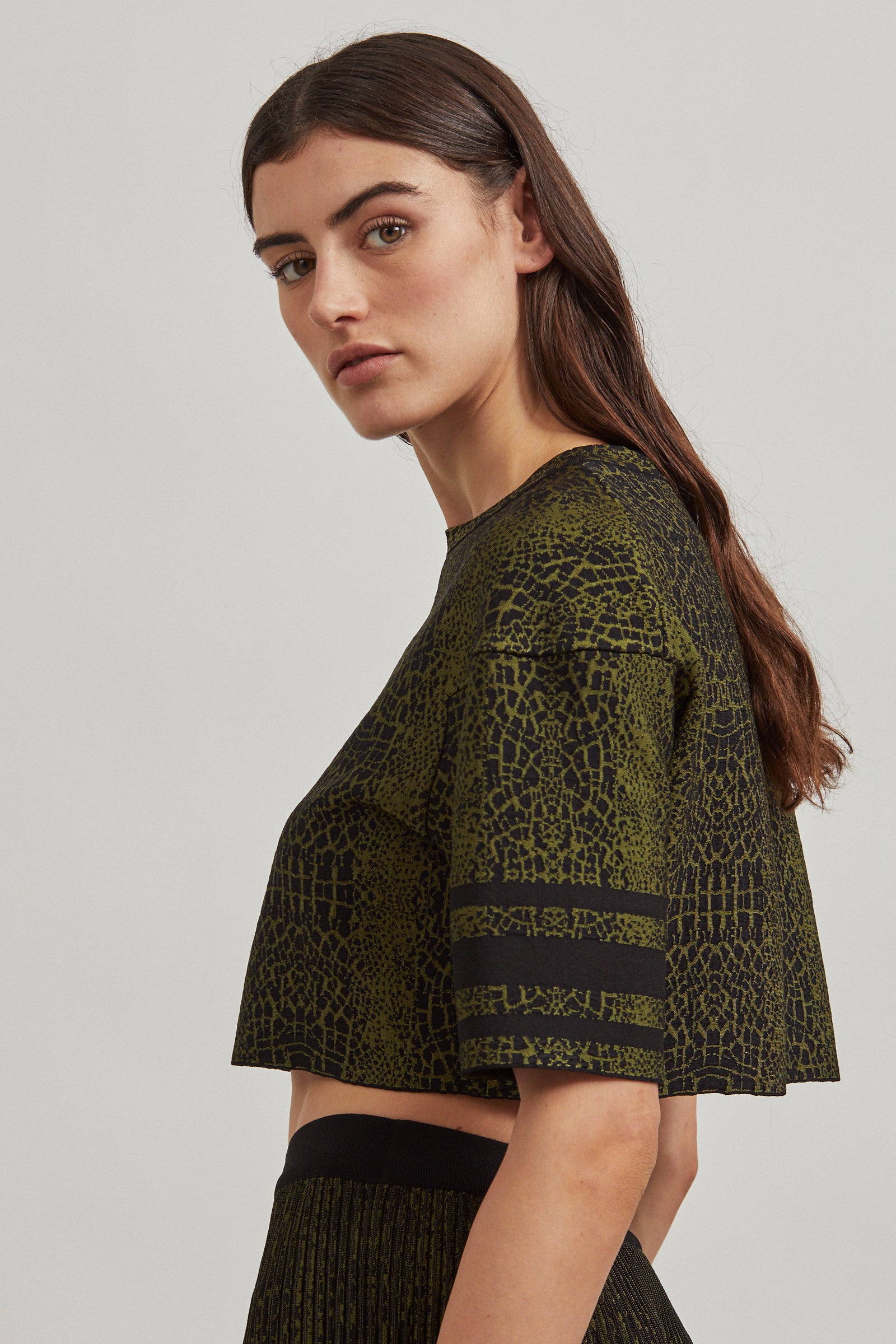 Pull court en maille jacquard animalier - Noir & Vert